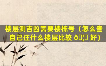 楼层测吉凶需要楼栋号（怎么查自己住什么楼层比较 🦟 好）
